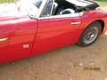 Austin-Healey 3000 Mk2 Червоний - thumbnail 12