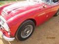 Austin-Healey 3000 Mk2 Червоний - thumbnail 11