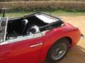 Austin-Healey 3000 Mk2 Червоний - thumbnail 13