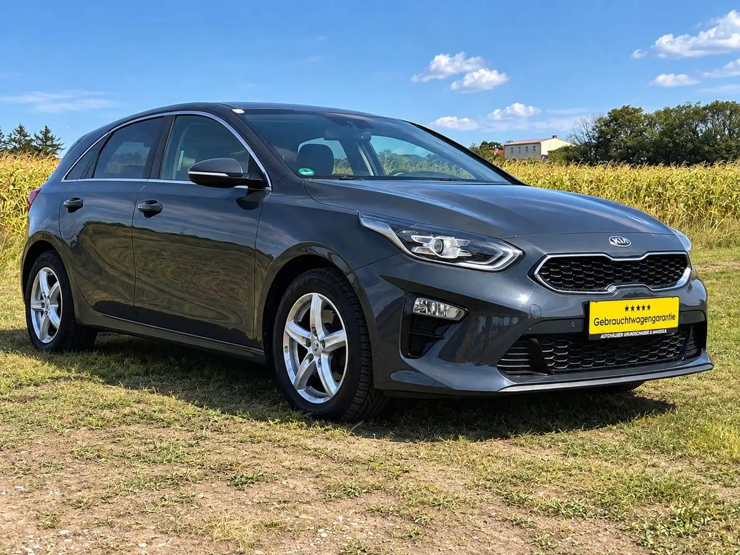 Kia Ceed / cee'd ceed 1,4 TGDI Platin DCT Platin Grau - 2
