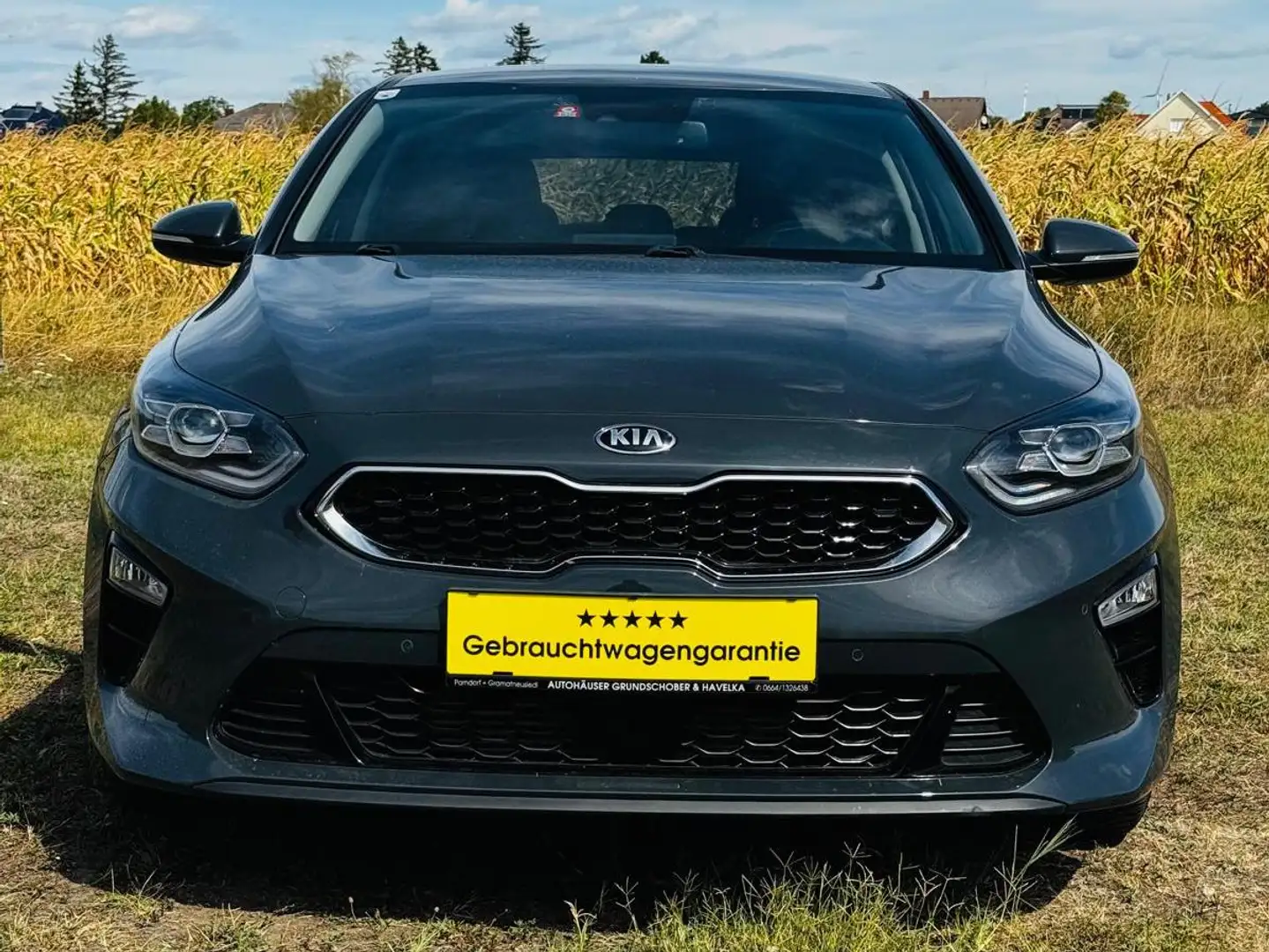 Kia Ceed / cee'd ceed 1,4 TGDI Platin DCT Platin Grau - 2