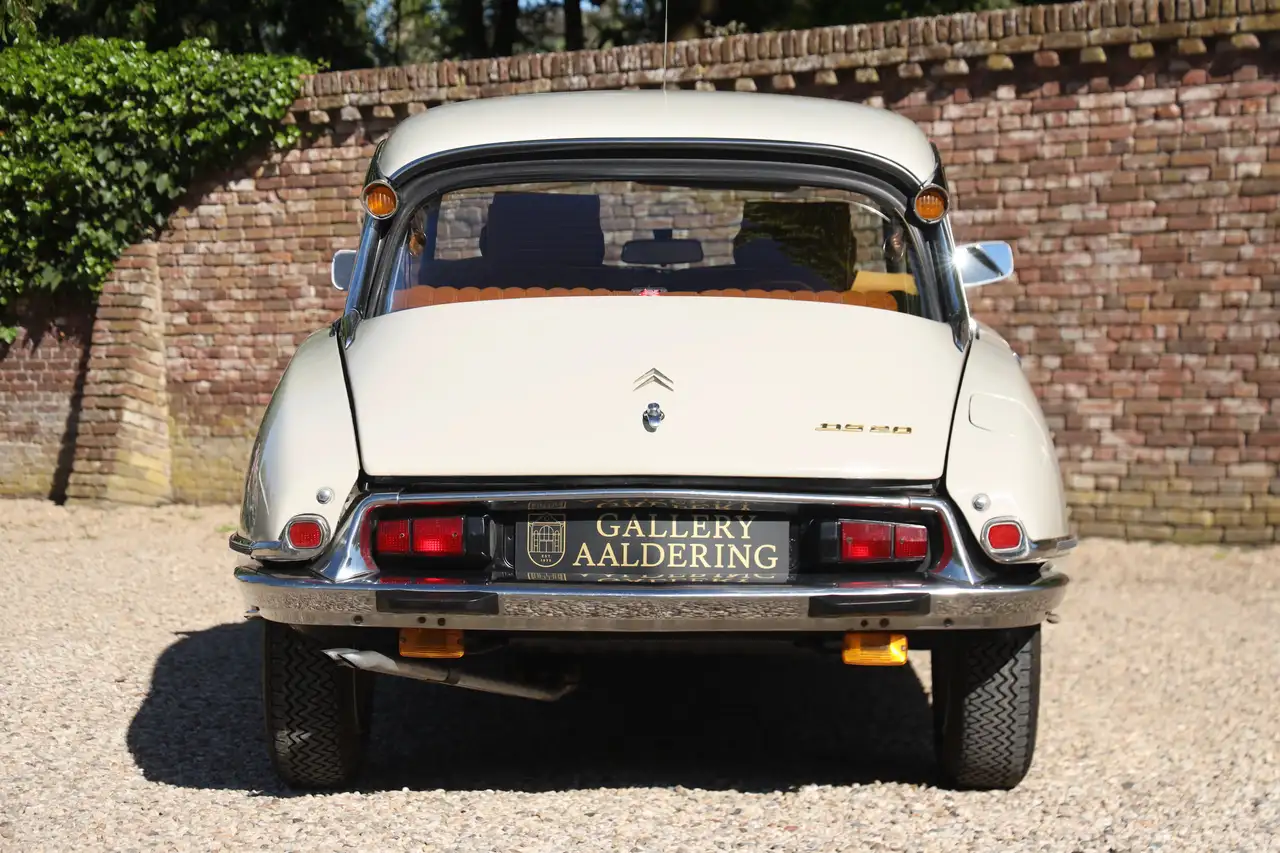 Citroen DS20 Pallas "Beige Albatros" You would buy the Pal, foto 6
