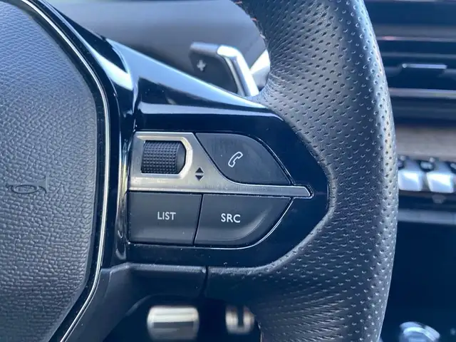 Peugeot 3008 view 13