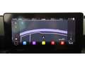 SEAT Leon SP 2.0 TDI Xcellence Aut LED RADAR NAV LEDER Weiß - thumbnail 16