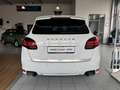 Porsche Cayenne Turbo WLS 368KW, Keramikbremse Sportpaket Luftfede Bianco - thumbnail 4