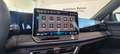Volkswagen Tiguan Sport TDI 4MOTION DSG Grün - thumbnail 14
