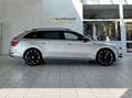 Skoda Superb Combi Sportline 4x4 Canton Optik-Schwarz Argent - thumbnail 7