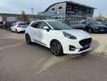 Ford Puma 1.0 Aut. ST-LINE *RFK PDC *WINTER-P Blanc - thumbnail 16