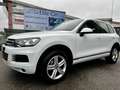 Volkswagen Touareg 3.0 V6 tdi Executive 204cv BMT "TAGLIANDI CERT. VW Bianco - thumbnail 1