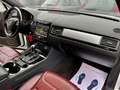 Volkswagen Touareg 3.0 V6 tdi Executive 204cv BMT "TAGLIANDI CERT. VW Bianco - thumbnail 11
