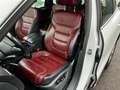 Volkswagen Touareg 3.0 V6 tdi Executive 204cv BMT "TAGLIANDI CERT. VW Bianco - thumbnail 8