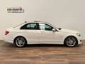 Mercedes-Benz C 220 CDI BE Avantgarde Blue Effic. Ed. Blanco - thumbnail 4