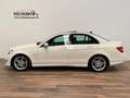 Mercedes-Benz C 220 CDI BE Avantgarde Blue Effic. Ed. Blanco - thumbnail 8
