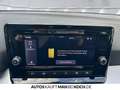 SEAT Arona 1.0 TSI OPF FR DSG PDC LED ACC DAB BackCam Grau - thumbnail 25
