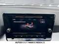 SEAT Arona 1.0 TSI OPF FR DSG PDC LED ACC DAB BackCam Grau - thumbnail 23