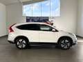 Honda CR-V Lifestyle 2.0 VTEC 4WD AHK+NAVI+KAMERA Blanc - thumbnail 14