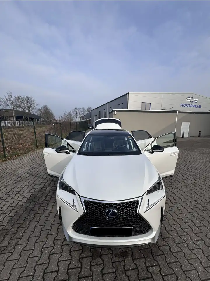 Lexus NX 300h