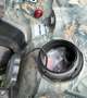 Suzuki King Quad LTA 750 Rot - thumbnail 2