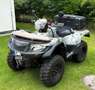 Suzuki King Quad LTA 750 Rot - thumbnail 15