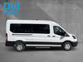 Ford Transit Kombi 350 L3 Trend KMP AMF Lift Bianco - thumbnail 8