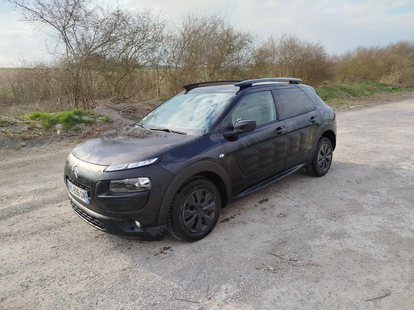 Citroen C4 Cactus C4 Cactus BlueHDi 100 S Noir - 2