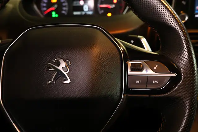 Peugeot Rifter view 18