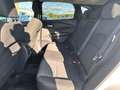 Nissan Qashqai Qashqai 1.3 mhev N-Connecta 2wd 158cv xtronic - thumbnail 17