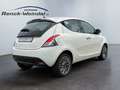 Lancia Ypsilon Gold 1.2 PDC Berganfahrass. Alu Klima el.SP Spieg. Wit - thumbnail 5