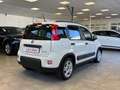 Fiat Panda 1.0 FireFly S&S Hybrid *UNICO PROP.*OK NEOPAT.* Bianco - thumbnail 4