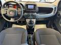 Fiat Panda 1.0 FireFly S&S Hybrid *UNICO PROP.*OK NEOPAT.* Bianco - thumbnail 12