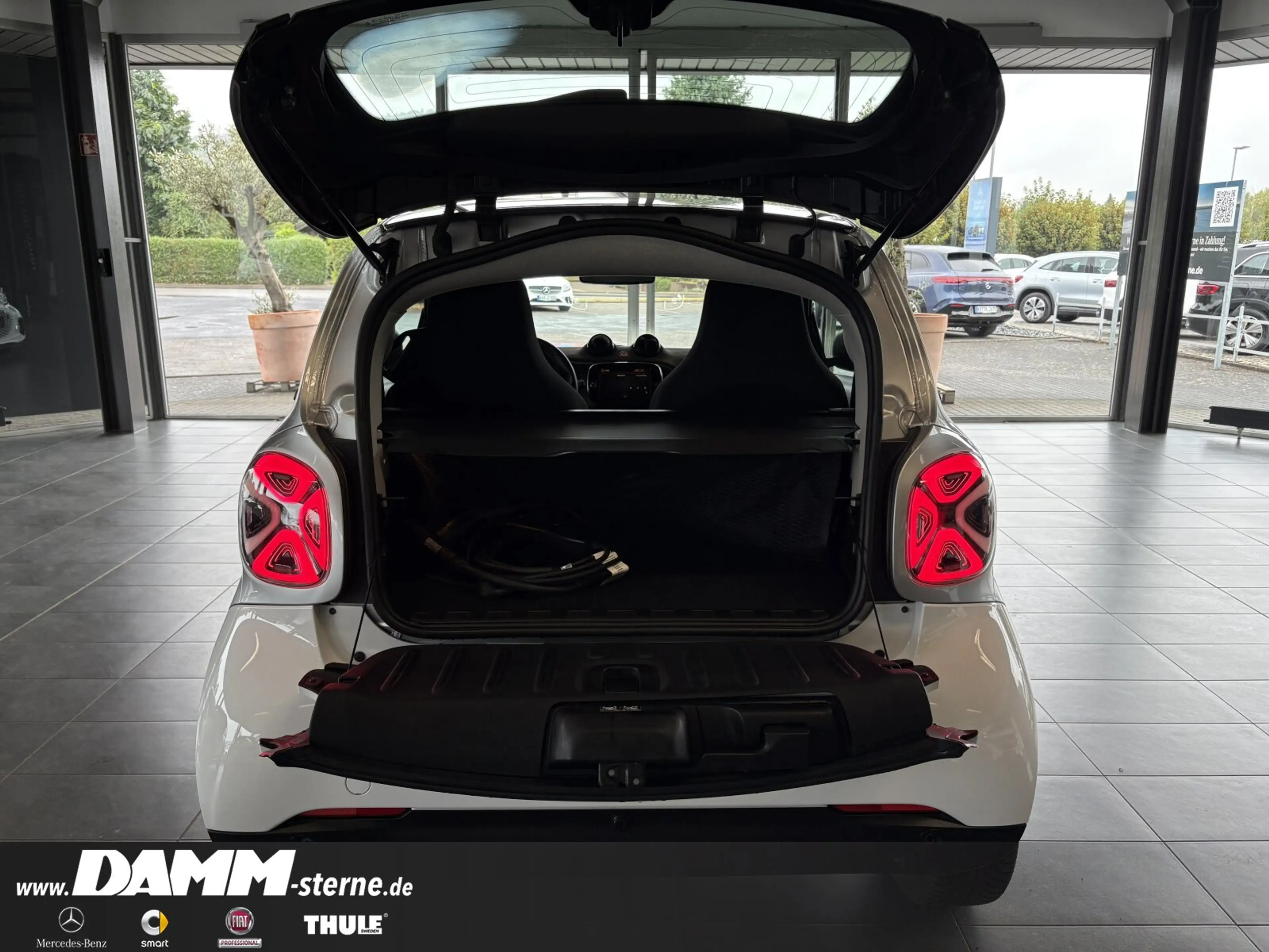 smart forTwo EQ Passion/Exclusive/22 kW/LED/Winter-P. — photo 13