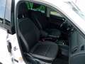 Skoda Fabia Combi Ambition SC TSI**LED**NAVI**RFK** Weiß - thumbnail 20