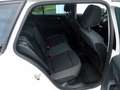 Skoda Fabia Combi Ambition SC TSI**LED**NAVI**RFK** Weiß - thumbnail 19