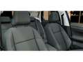 Volkswagen Polo 1.0 TSI Life App-Connect, ACC, LED, Dig. Blau - thumbnail 12