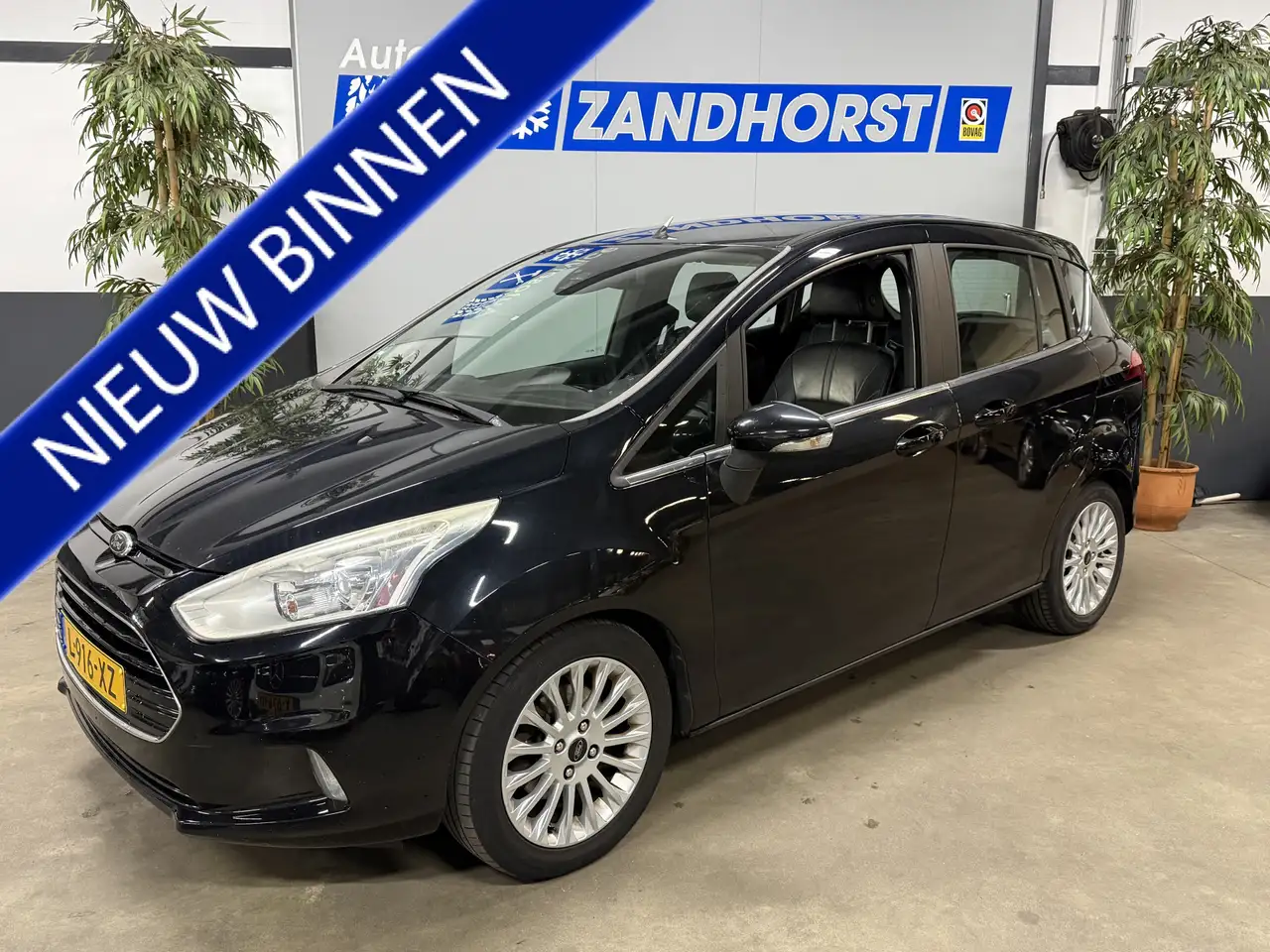 Ford B-MAX