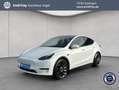 Tesla Model Y Performance Dual Motor AWD Weiß - thumbnail 1