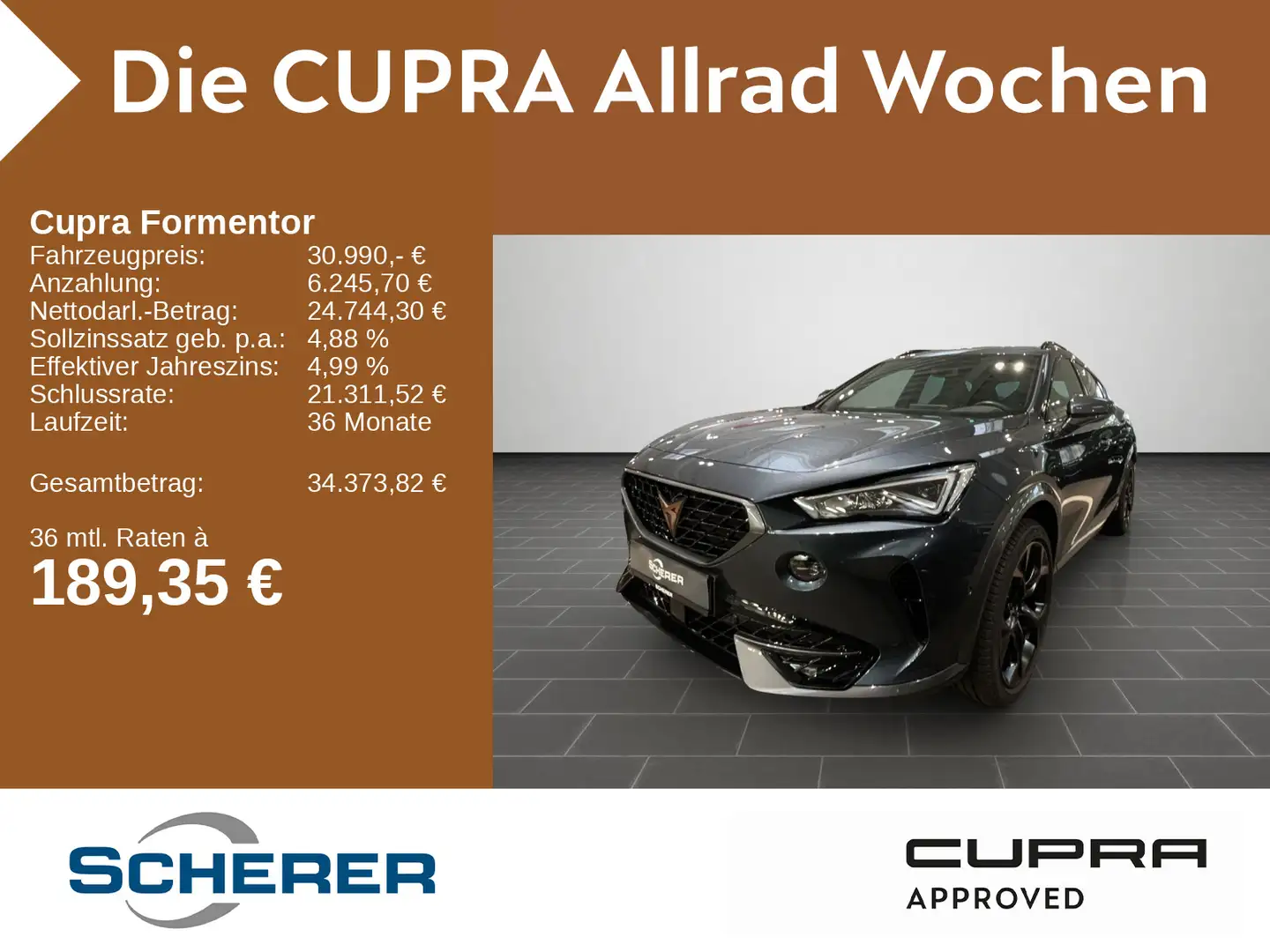 CUPRA Formentor VZ 2.0 TSI 4DRIVE DSG, Rückfahrkamera Grau - 1