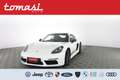 Porsche 718 Cayman 2.0 T CERCHI 20,PARK ASSISTANT,SEDILI RISCA Blanc - thumbnail 1