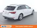 Audi A4 40 TDI Sport Weiß - thumbnail 6