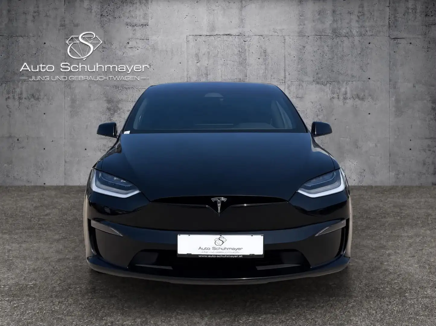 Tesla Model X Dual Schwarz - 2
