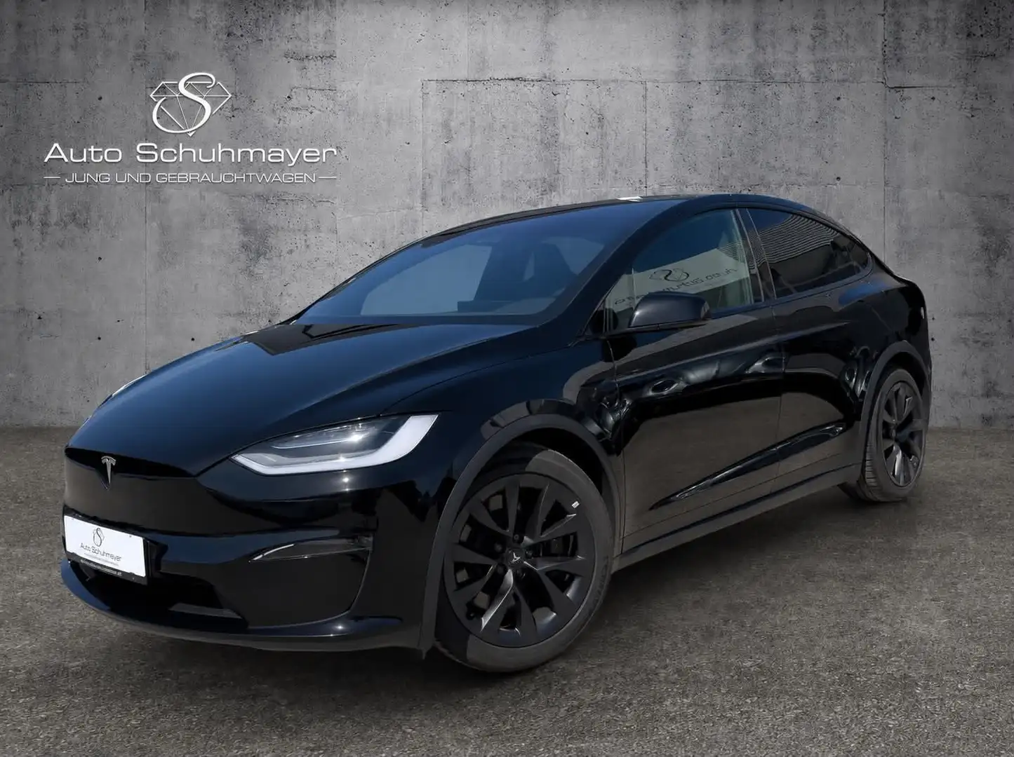 Tesla Model X Dual Schwarz - 1