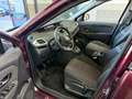 Renault Scenic Scenic 1.5 dci Live s Lilla - thumbnail 7