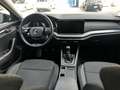 Skoda Octavia 2.0 tdi evo Executive 115cv - thumbnail 8