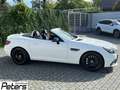 Mercedes-Benz SLC 43 AMG SLC 43 AMG Comand/Airscarf Night/Distronic/ILS Weiß - thumbnail 22