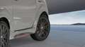 Ligier JS 50 Sport Ultimate +Climatizzatore +Servosterzo DCI E5 Gris - thumbnail 4