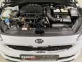 Kia Ceed / cee'd 1.0 T-GDI Klima|SHZ|Car-Play Blanc - thumbnail 21
