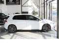 Volkswagen Golf GTI 2.0 TSI DSG BLACK STYLE*19´*NAV*ACC*APP Blanc - thumbnail 8