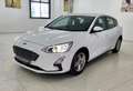 Ford Focus 1.5Ecoblue Trend+ 120 Bianco - thumbnail 6