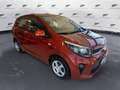 Kia Picanto 1.0 12V EcoGPL 5 porte Urban Brun - thumbnail 12