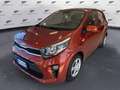 Kia Picanto 1.0 12V EcoGPL 5 porte Urban Brun - thumbnail 1